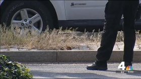[DC] Gun Found Near Site of Possible Shooting