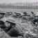 Trench warfare in World War One